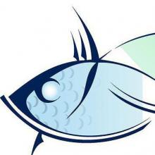 Charakteristika znamení zvěrokruhu Ryby - vše o mužích a ženách Ryb