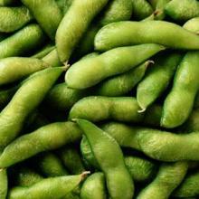 Varietas kacang hijau kering, deskripsi dengan foto;  cara mengeringkan kacang di rumah;  penggunaan produk dalam memasak
